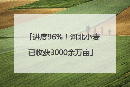 进度96%！河北小麦已收获3000余万亩