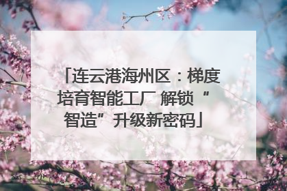 连云港海州区：梯度培育智能工厂 解锁“智造”升级新密码