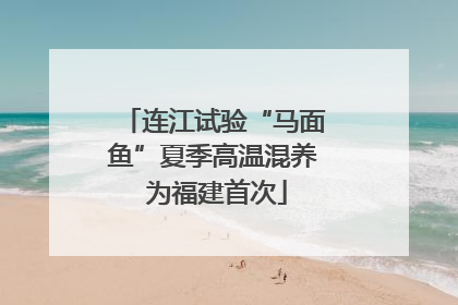 连江试验“马面鱼”夏季高温混养 为福建首次