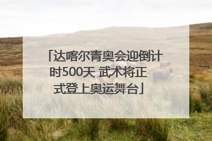 达喀尔青奥会迎倒计时500天 武术将正式登上奥运舞台