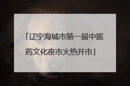 辽宁海城市第一届中医药文化夜市火热开市