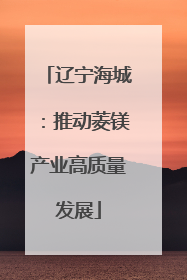 辽宁海城：推动菱镁产业高质量发展