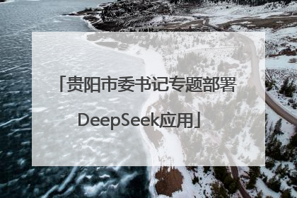 贵阳市委书记专题部署DeepSeek应用
