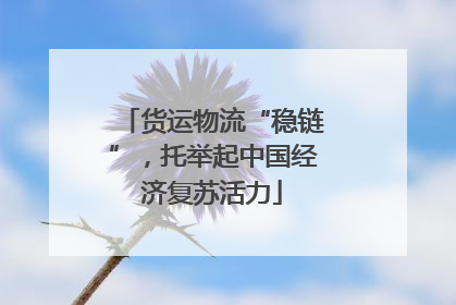 货运物流“稳链”，托举起中国经济复苏活力
