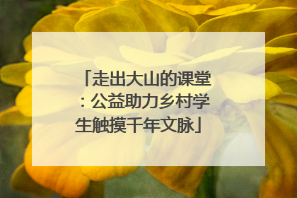 走出大山的课堂：公益助力乡村学生触摸千年文脉
