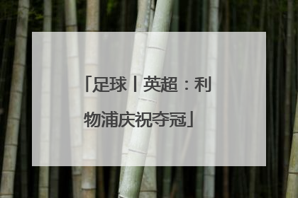 足球丨英超：利物浦庆祝夺冠
