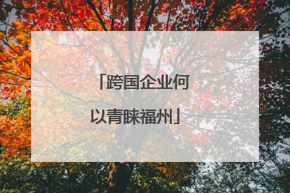 跨国企业何以青睐福州