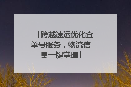 跨越速运优化查单号服务，物流信息一键掌握