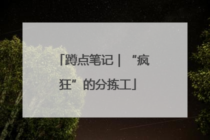蹲点笔记｜“疯狂”的分拣工