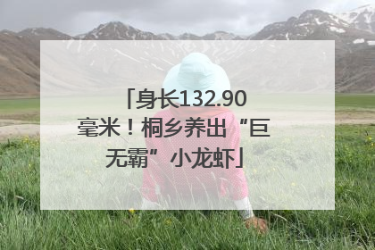 身长132.90毫米！桐乡养出“巨无霸”小龙虾