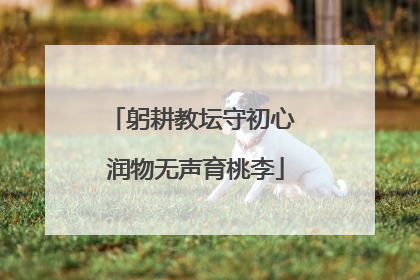 躬耕教坛守初心 润物无声育桃李