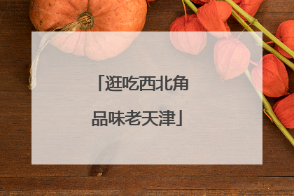 逛吃西北角 品味老天津
