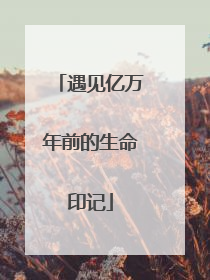 遇见亿万年前的生命印记