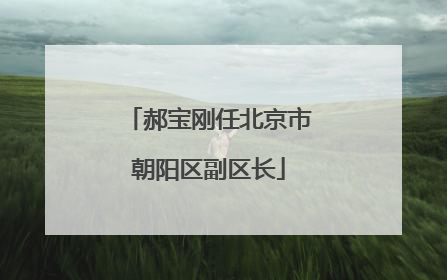 郝宝刚任北京市朝阳区副区长