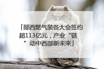 郧西燃气装备大会签约超113亿元，产业“链”动中西部新未来