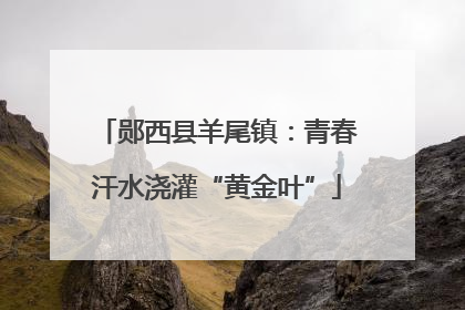 郧西县羊尾镇：青春汗水浇灌“黄金叶”