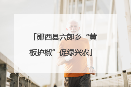 郧西县六郎乡“黄板护椒”促绿兴农