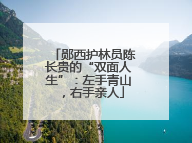 郧西护林员陈长贵的“双面人生”：左手青山，右手亲人
