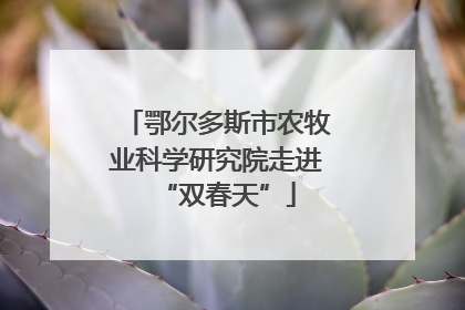 鄂尔多斯市农牧业科学研究院走进“双春天”