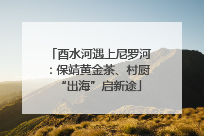 酉水河遇上尼罗河：保靖黄金茶、村厨“出海”启新途