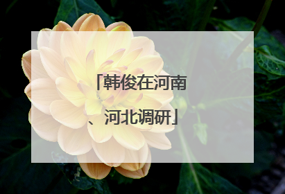 韩俊在河南、河北调研