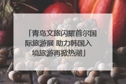 青岛文旅闪耀首尔国际旅游展 助力韩国入境旅游再掀热潮