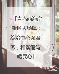 青岛西海岸新区大场镇：综治中心强服务，和谐港湾暖民心