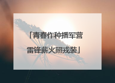 青春作种播军营 雷锋薪火照戎装