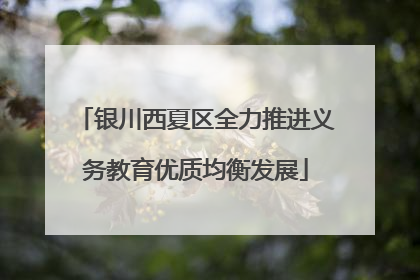 银川西夏区全力推进义务教育优质均衡发展