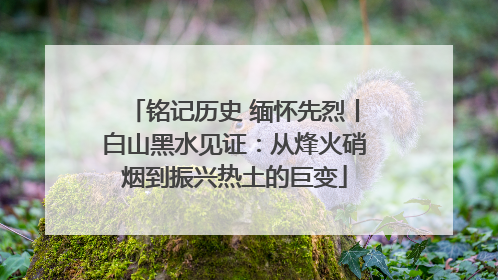 铭记历史 缅怀先烈丨白山黑水见证：从烽火硝烟到振兴热土的巨变