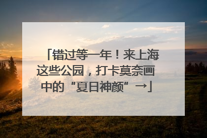 错过等一年！来上海这些公园，打卡莫奈画中的“夏日神颜”→