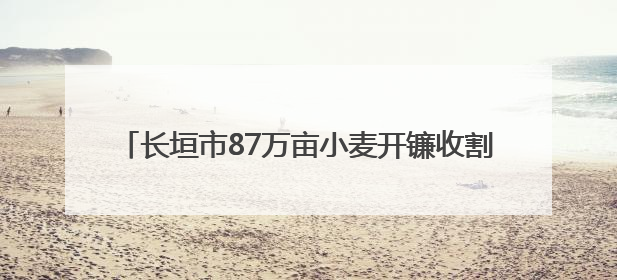 长垣市87万亩小麦开镰收割 机械化作业保障夏粮归仓