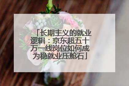 长期主义的就业逻辑：京东超五十万一线岗位如何成为稳就业压舱石