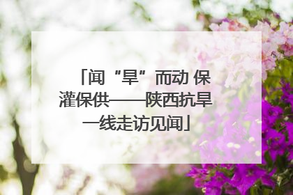 闻“旱”而动 保灌保供——陕西抗旱一线走访见闻