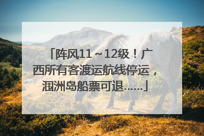 阵风11～12级！广西所有客渡运航线停运，涠洲岛船票可退……