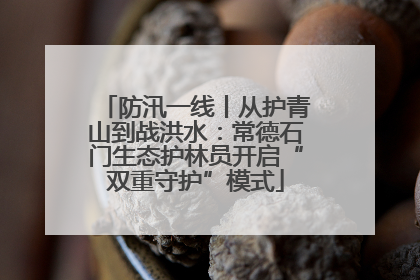 防汛一线丨从护青山到战洪水：常德石门生态护林员开启“双重守护”模式