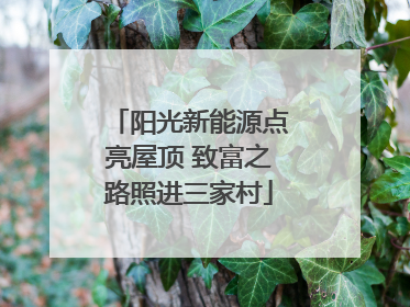 阳光新能源点亮屋顶 致富之路照进三家村