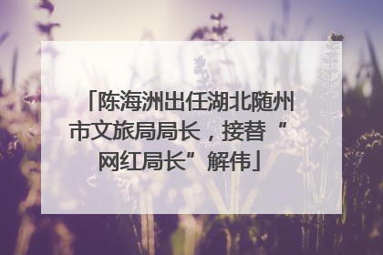 陈海洲出任湖北随州市文旅局局长，接替“网红局长”解伟