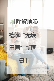 降解地膜绘就“无废田园”新图景