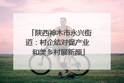 陕西神木市永兴街道：村企结对促产业 和美乡村展新颜