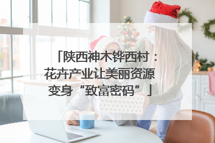 陕西神木铧西村：花卉产业让美丽资源变身“致富密码”