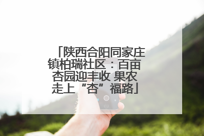陕西合阳同家庄镇柏瑞社区：百亩杏园迎丰收 果农走上“杏”福路