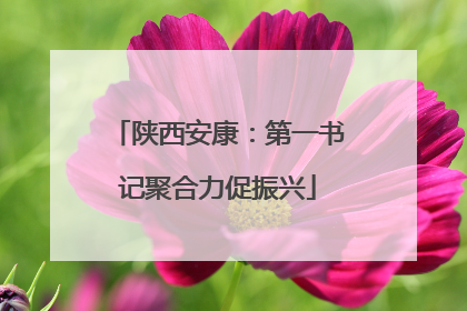 陕西安康：第一书记聚合力促振兴