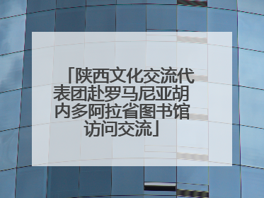 陕西文化交流代表团赴罗马尼亚胡内多阿拉省图书馆访问交流