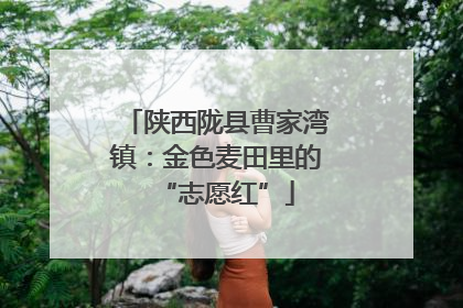陕西陇县曹家湾镇：金色麦田里的“志愿红”