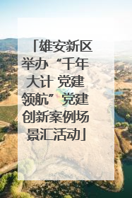 雄安新区举办“千年大计 党建领航”党建创新案例场景汇活动