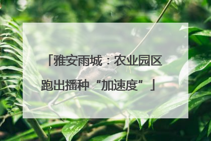 雅安雨城:农业园区跑出播种“加速度”
