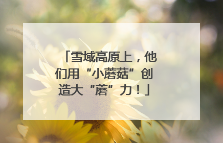 雪域高原上，他们用“小蘑菇”创造大“蘑”力！