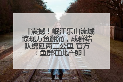 震撼！岷江乐山流域惊现万鱼翻涌，成群结队绵延两三公里 官方：鱼群在此产卵