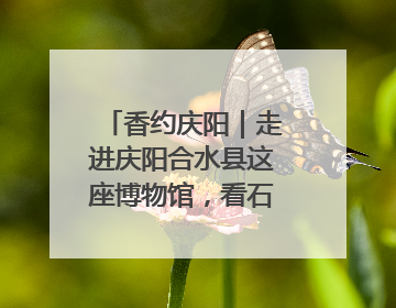 香约庆阳｜走进庆阳合水县这座博物馆，看石头如何讲述陇东千年历史